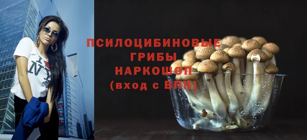 мескалин Богородицк