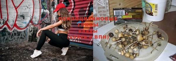 мескалин Богородицк