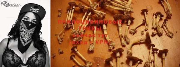 бутират Белокуриха