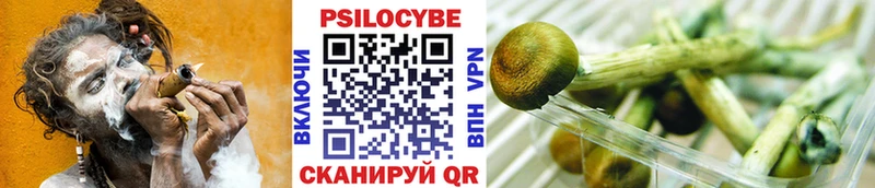 ОМГ ОМГ зеркало  мориарти как зайти  Псилоцибиновые грибы мицелий  Назарово 