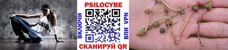 Псилоцибиновые грибы Cubensis Назарово